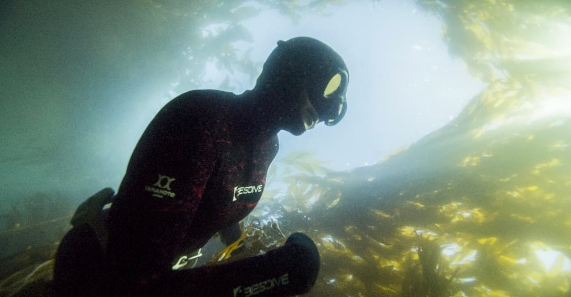 SPEAR FISHING SUIT