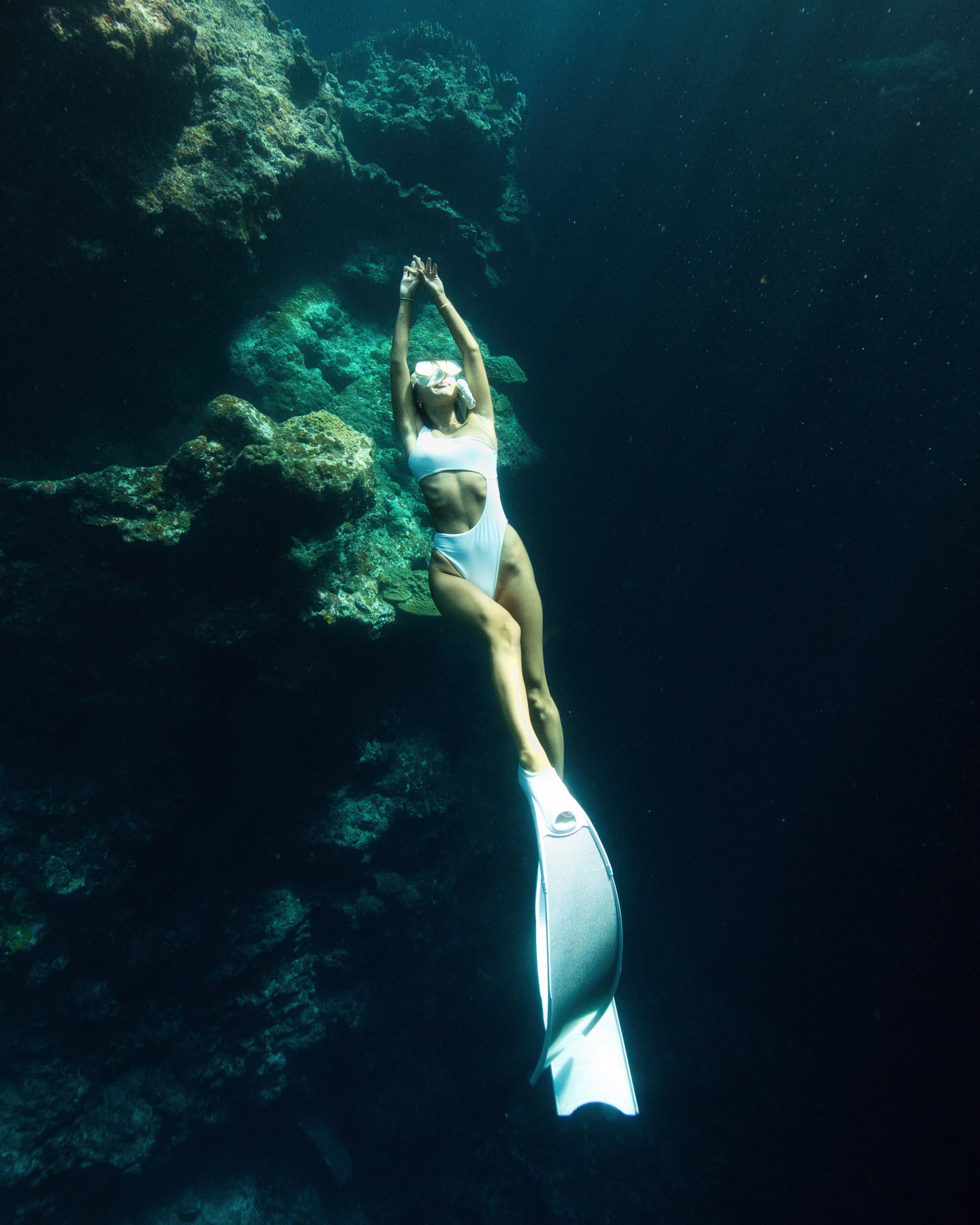 METALLIC FINS