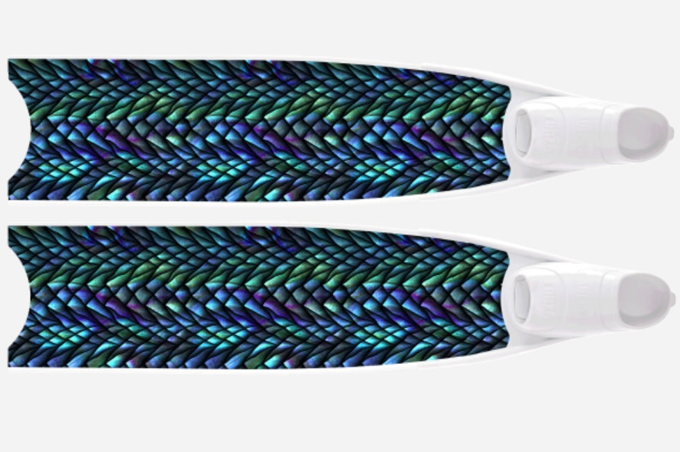 Dragon scales BI-FINS 2024