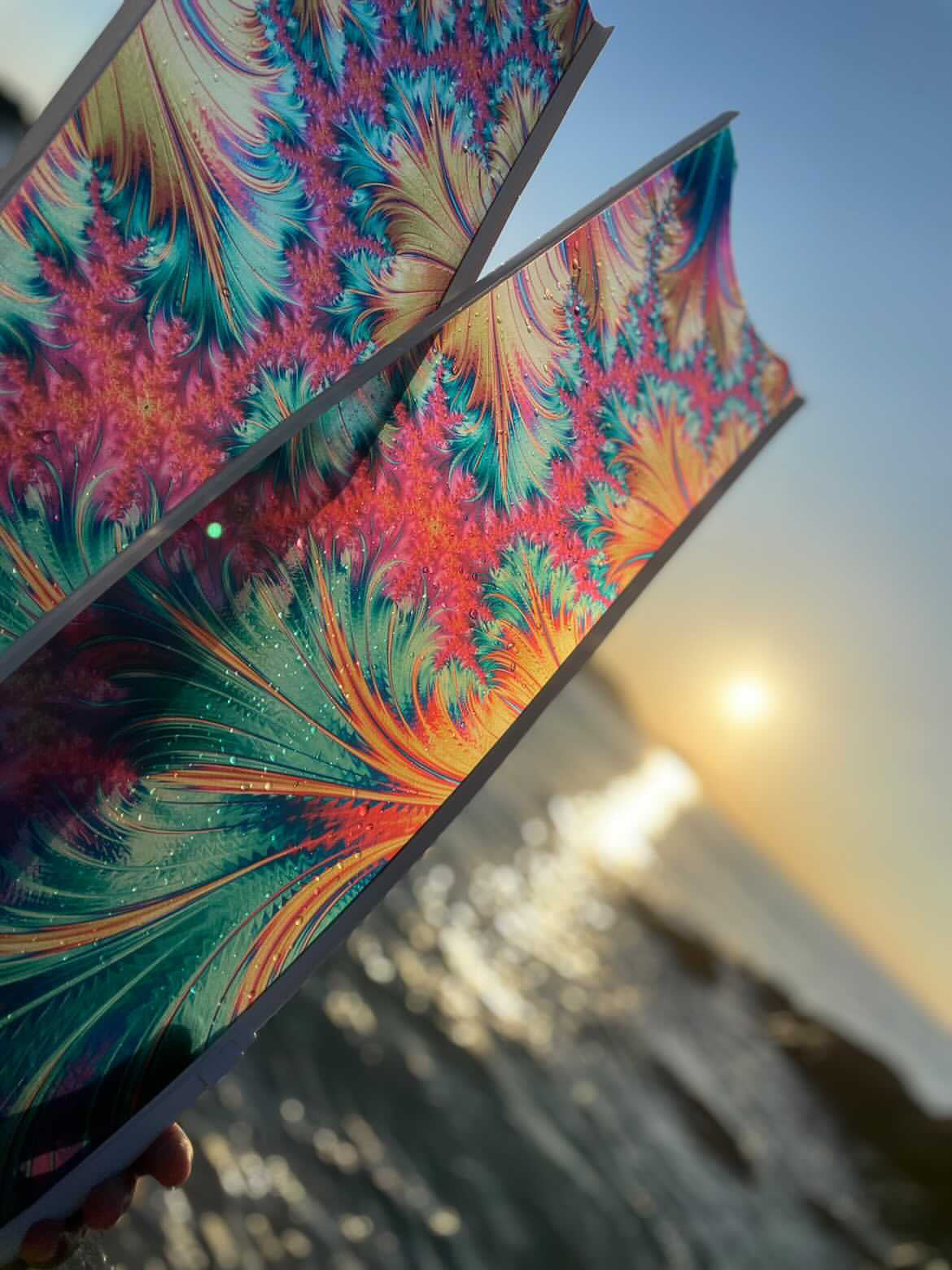 NEVER ENDING FINS