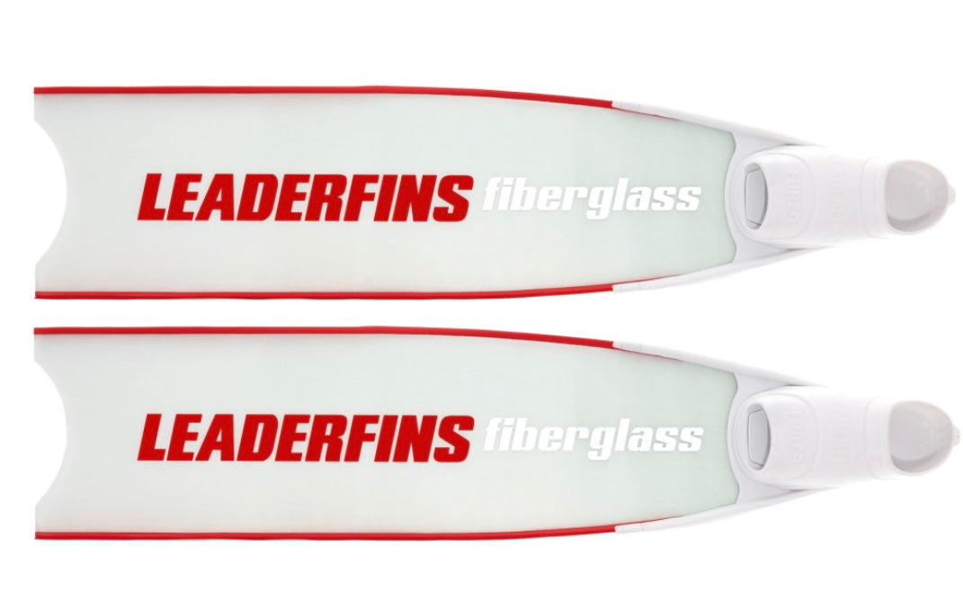 ICE FINS
