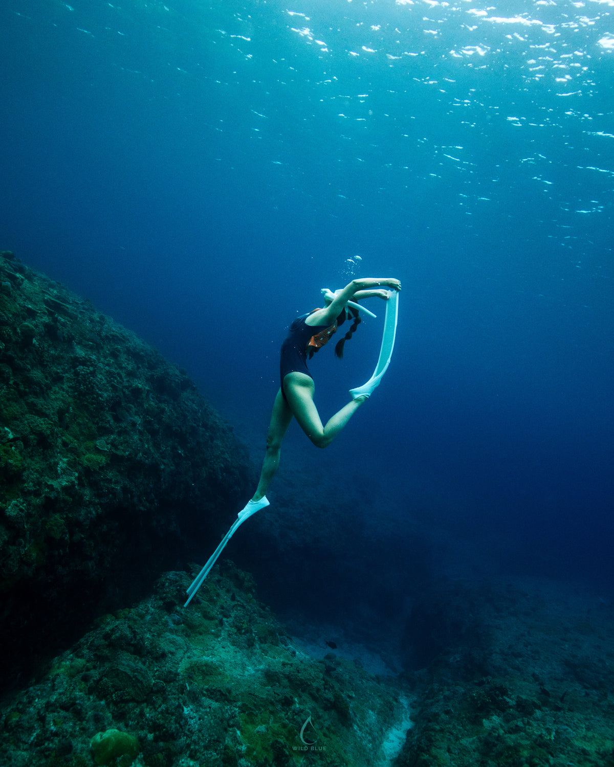 スキンダイビングオンラインレッスン
